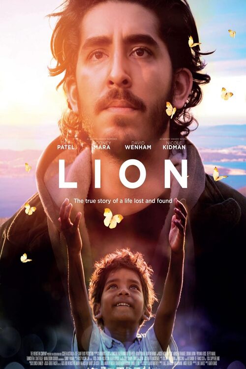 resized lion poster